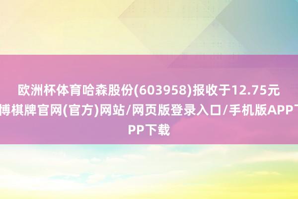 欧洲杯体育哈森股份(603958)报收于12.75元-亚博棋牌官网(官方)网站/网页版登录入口/手机版APP下载