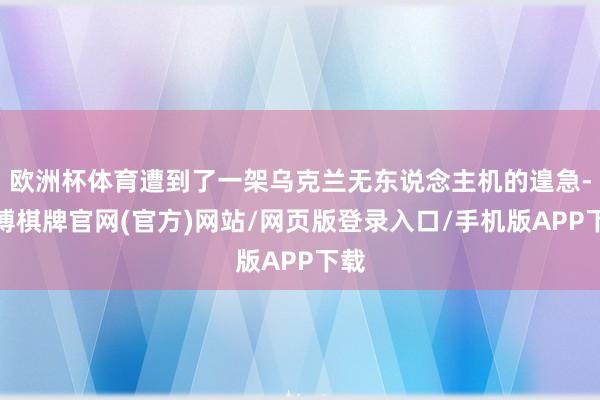 欧洲杯体育遭到了一架乌克兰无东说念主机的遑急-亚博棋牌官网(官方)网站/网页版登录入口/手机版APP下载